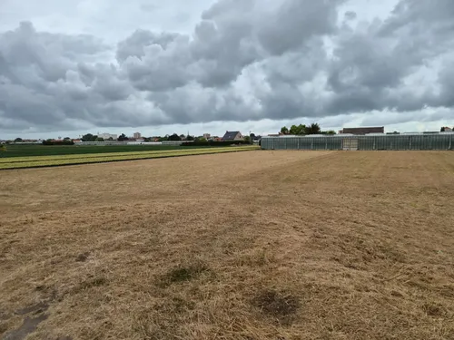 Dunkerque : la crise migratoire vers les serres de Rosendaël