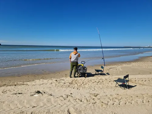 Hausse des quotas de maquereaux, les pêcheurs Boulonnais sceptiques…