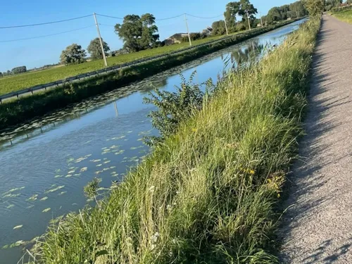 Looberghe : "Ce sentiment étrange, cette satisfaction, d’avoir...