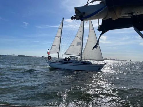 Le Yacht Club de Dunkerque lance son Académie Pêche et Voile