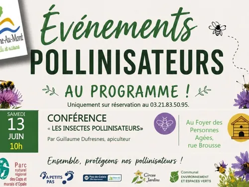 Saint-Etienne-au-Mont : Conférence sur les Pollinisateurs ce samedi...