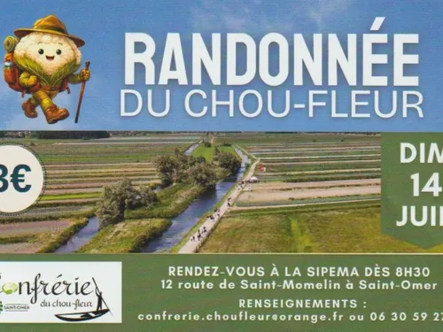 Saint-Omer : La Randonnée du Chou Fleur ce dimanche 14 juin