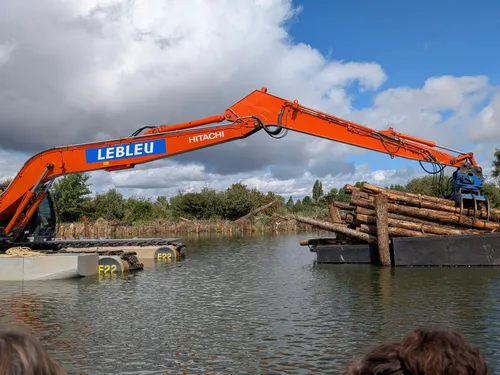 Clairmarais : un chantier dans l’eau pour faire revenir le Butor...
