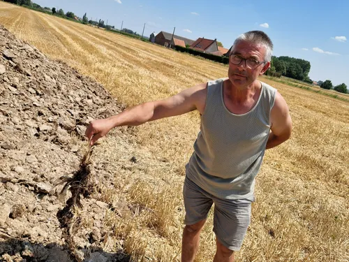 Winnezeele : trois projets de poulaillers déposés, les habitants...