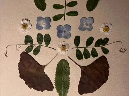 Wimille : Ateliers gratuits à la Colonne de la Grande Armée dimanche