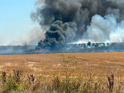 Un champ de chaume détruit par les flammes entre Bourbourg et...