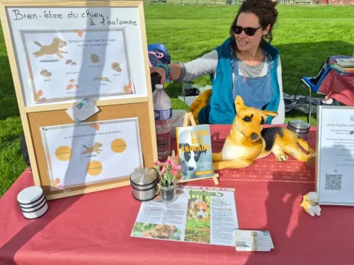 Boulogne-sur-Mer : une naturopathe lance des ateliers solidaires...