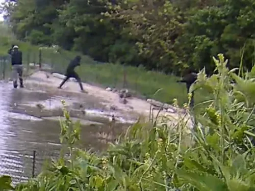 Cruauté animale à Saint-Folquin : une quinzaine de canards...