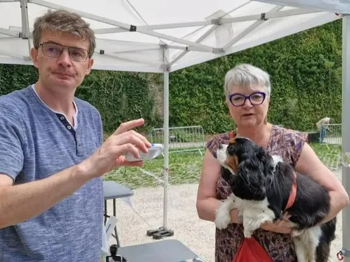 Identification des chiens à Saint-Omer, le périmètre grandit