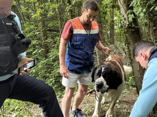 Rety : "le chien était attaché et totalement assoiffé"
