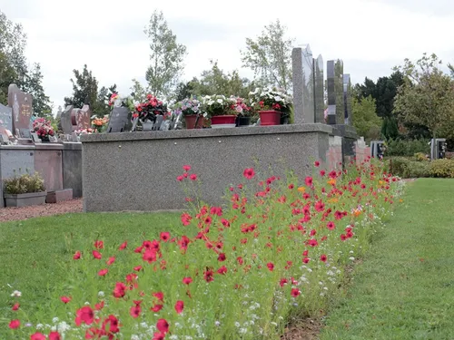 Un engin explosif découvert au nouveau cimetière de Grande-Synthe...