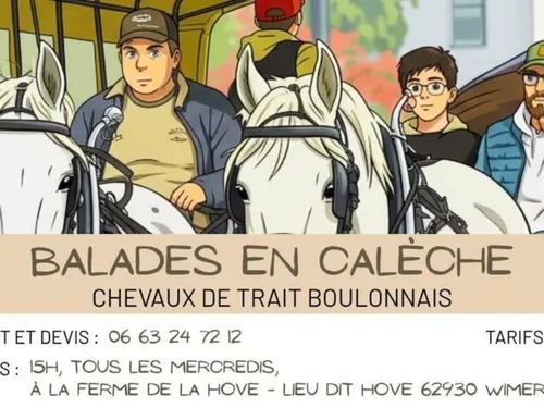 Wimereux : Balades en calèche chaque mercredi