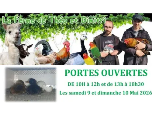 Balinghem : Portes ouvertes ce week-end à la Ferme de Théo et Dimitri