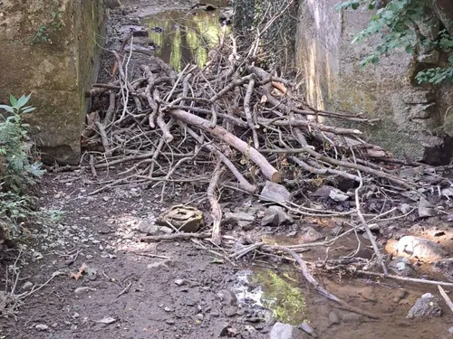 Ferques : des branches jetées dans le cours d'eau du parc d'Elinghen 