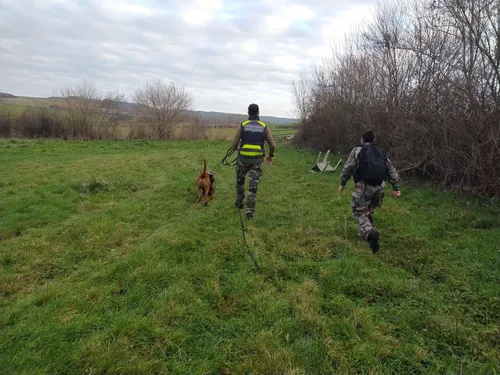 Ambleteuse : une "dernière" grande battue pour retrouver David Pique
