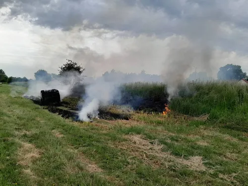 Coulogne : un pyromane s'en prend à leurs champs, les éleveurs en...