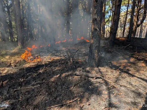 Incendie entre Dannes et Neufchâtel-Hardelot, une après-midi décisive