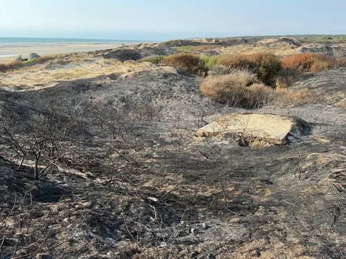 Le Préfet au soutien des pompiers entre Dannes et Neufchâtel-Hardelot