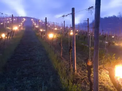 Sainte-Marie-Kerque : peut-être encore des fumées sur les routes la...