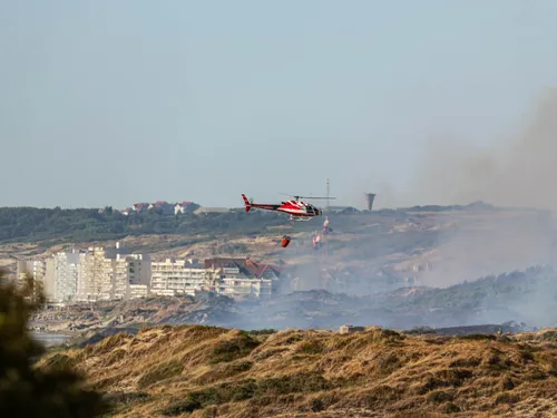 Incendies entre Dannes et Neufchâtel : de nouveaux éléments sur la...