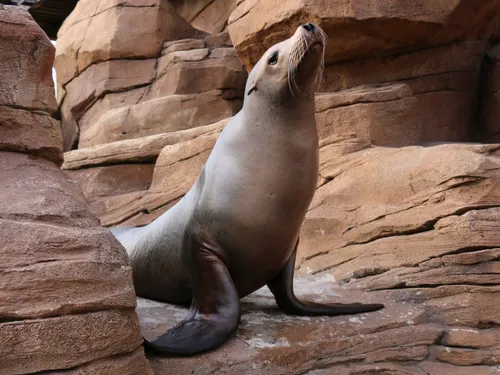 Boulogne-sur-Mer : disparition de l’une des figures historiques de...