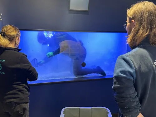 Boulogne : Encore des surprises et des nouveautés à Nausicaà en 2026