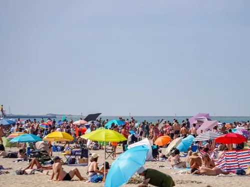 Classement des eaux de baignade 2026 : seulement trois plages du...