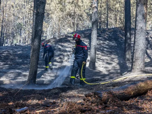 Incendies entre Dannes et Neufchâtel-Hardelot, situation plutôt...