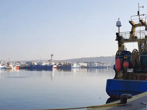 Côte d'Opale : nouveaux quotas de pêche en mer sous fond de tension