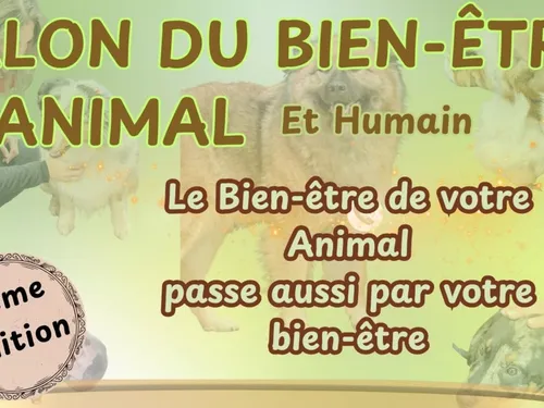 Watten : Salon du bien-être Animal et Humain les 12 et 13 septembre