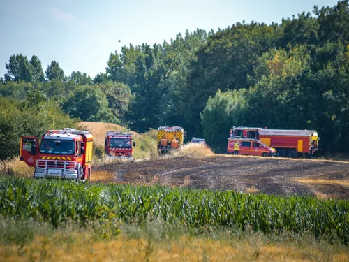 Calais : 200 m² de hutte détruits par un incendie dans les dunes