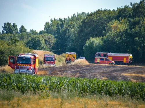 Marquise : un hectare de végétation brûle rue Pasteur