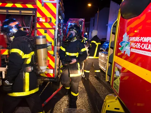 Hames-Boucres : deux chiens et un chat retrouvés morts dans...