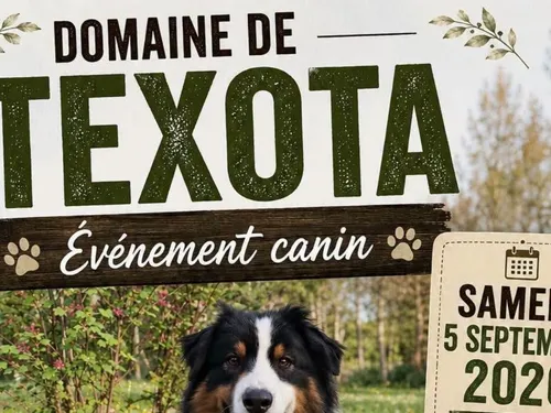Houlle : Evènement canin au Domaine de Texota samedi 5 septembre