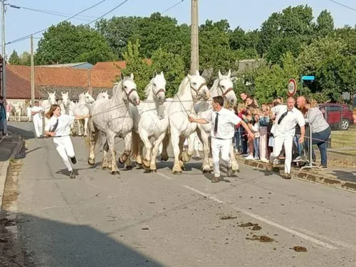 Dohem : un tiercé à brouettes lors de la nouvelle édition de la...