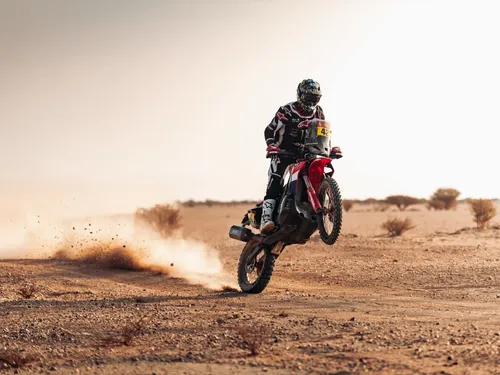 Dakar 2026 : Simon Vitse vainqueur en deux roues motrices, Adrien...