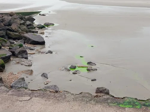 Wimereux : c'est quoi cette coloration fluorescente sur des façades...