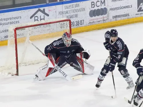 Hockey sur glace. Les Ducs d'Angers à la quête de la Coupe Magnus