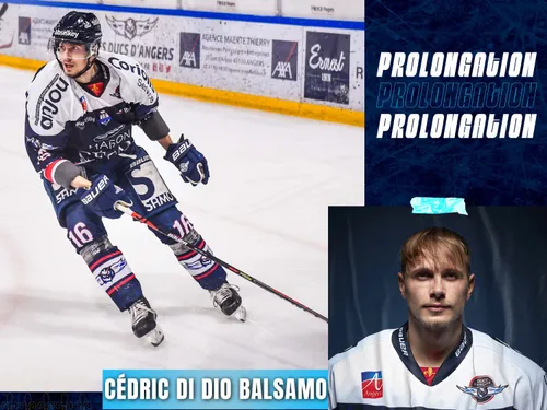 Une troisième saison chez les Ducs d'Angers pour Cédric Di Dio Balsamo
