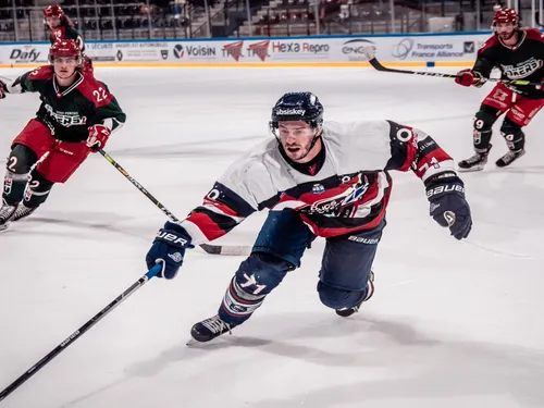 Les Ducs d'Angers font le plein de points à Briançon et Mulhouse