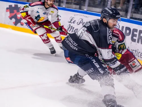 Ligue Magnus. Face aux Jokers, les Ducs d'Angers veulent éviter la...