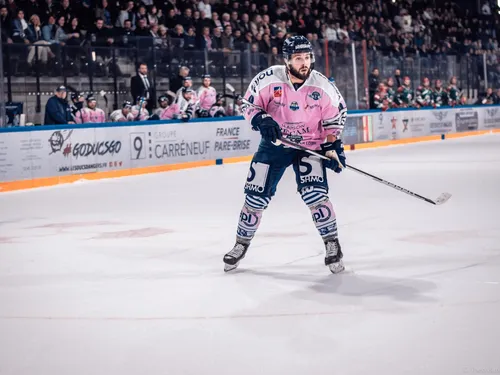 Coupe de France: les Ducs d'Angers défient Amiens