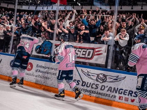 Ligue Magnus. Les Ducs d'Angers veulent rester souverains à domicile