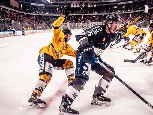 Ligue Magnus, demi-finales: les Ducs d'Angers au bord du gouffre