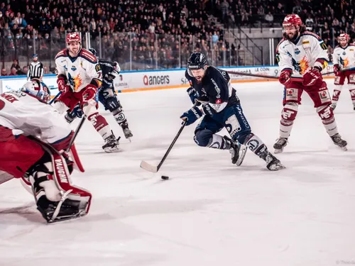 Ligue Magnus, finale: les Ducs d'Angers en mode survie 