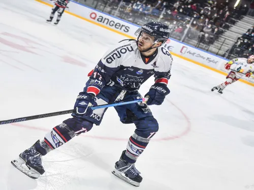 Quatre Ducs d'Angers convoqués en équipe de France