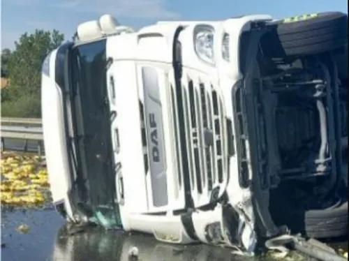 Saint-Berthevin : un camion d’équarrissage se renverse sur la rocade