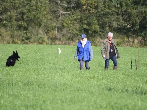 Château-Gontier. Le club canin accueille un concours national de...