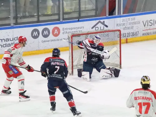 Hockey sur glace. Les Ducs d'Angers sont fixés