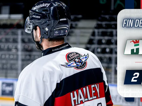 Deux victoires en deux matchs pour les Ducs d'Angers